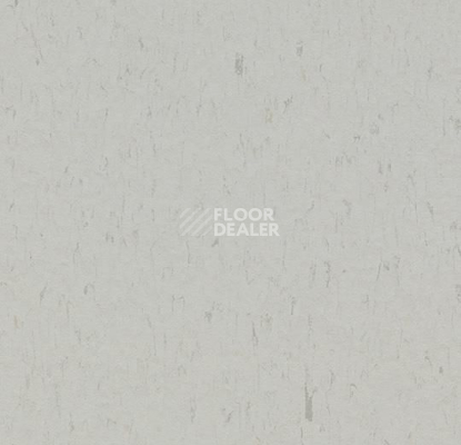 Линолеум Forbo Marmoleum Solid Piano 3629-362935 frosty grey фото 1 | FLOORDEALER
